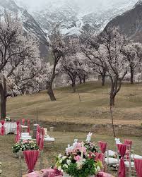 Alpine Reception